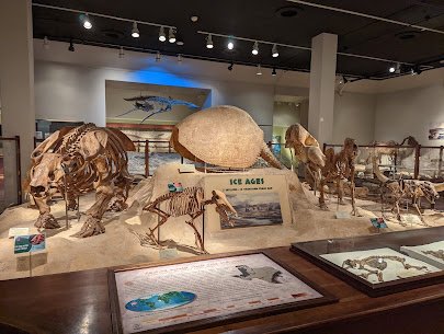 Texas Science & Natural History Museum photo 4