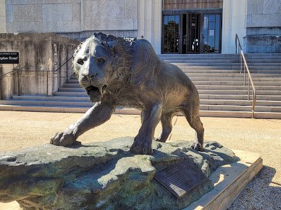 Texas Science & Natural History Museum photo 6