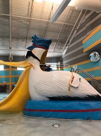 Pelican Harbor Indoor/Outdoor Aquatic Park, Bolingbrook Park District photo 6