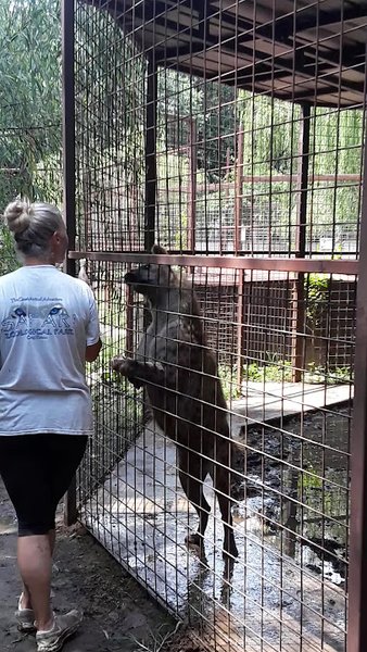 Safari Zoological Park photo 2