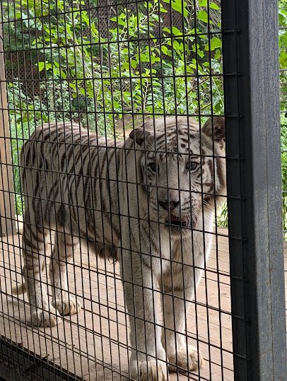 Safari Zoological Park photo 3