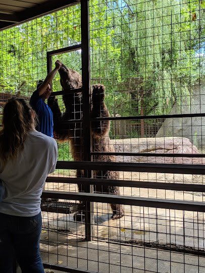 Safari Zoological Park photo 4