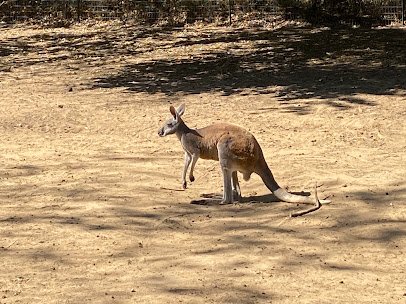 Safari Zoological Park photo 5