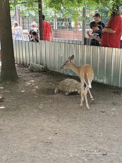 Safari Zoological Park photo 6