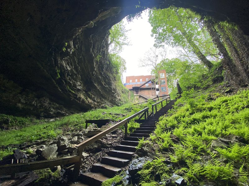 Hidden River Cave & American Cave Museum photo 6