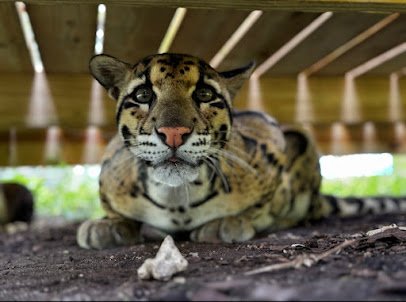 Redland Conservation Center photo 5