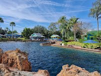 Dolphin Cove photo 3