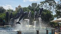 Dolphin Cove photo 5