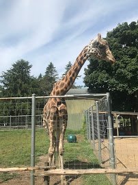 Long Island Game Farm Wildlife Park photo 3