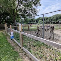 Long Island Game Farm Wildlife Park photo 4