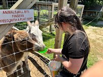 Long Island Game Farm Wildlife Park photo 6