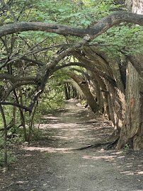 Great Plains Nature Center photo 3
