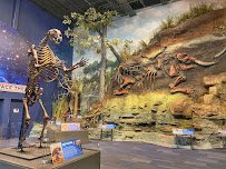 Boonshoft Museum of Discovery photo 5