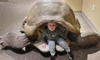 Boonshoft Museum of Discovery photo 6