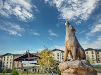 Great Wolf Lodge | Perryville