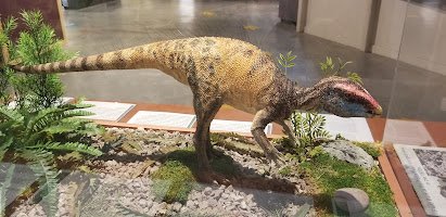 Dinosaur Journey Museum photo 3