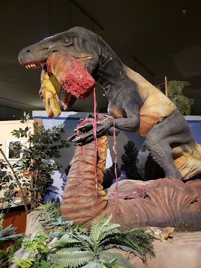 Dinosaur Journey Museum photo 4