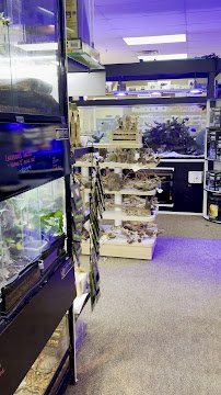 Aquatic Oasis photo 2