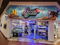 Aquatic Oasis photo 3