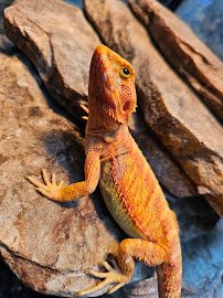 Aquatic Oasis photo 4