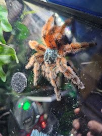 Aquatic Oasis photo 5