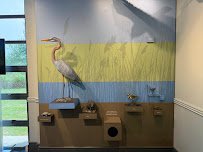 The Nature Center photo 6