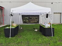 Creature Kingdom - Exotic Mobile Petting Zoo photo 4