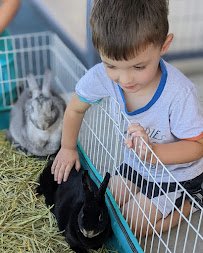 Creature Kingdom - Exotic Mobile Petting Zoo photo 5