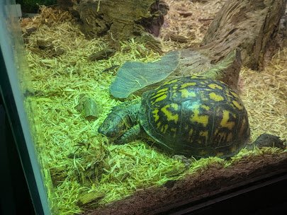 Seaside Nature Center photo 3