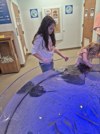 Seaside Nature Center photo 5