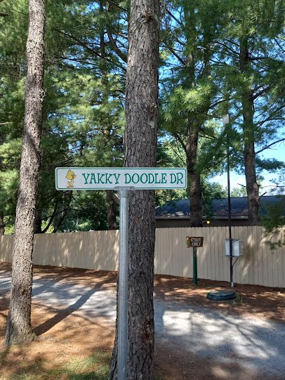 Yogi's Mini Golf Course photo 6