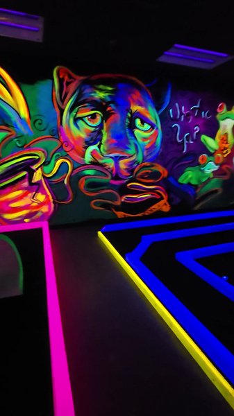 Glow In The Park Indoor Mini Golf & Pinball Arcade photo 2