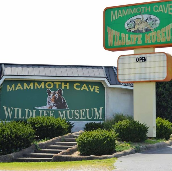 Mammoth Cave Wildlife Museum photo 3