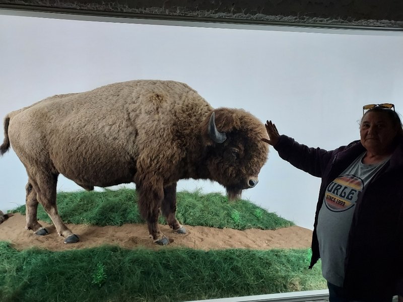Mammoth Cave Wildlife Museum photo 4