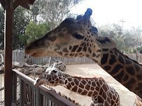 Sacramento Zoo photo 4