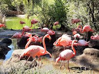 Sacramento Zoo photo 5