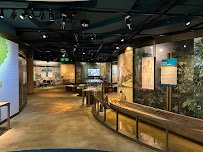 Museum of Alabama photo 4