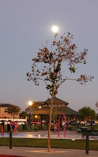 Mossdale Landing Kids' Water Feature photo 3