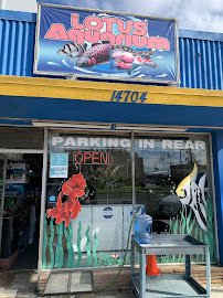 Lotus Aquarium