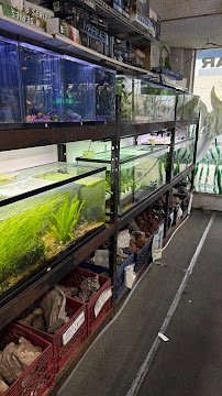 Lotus Aquarium photo 4