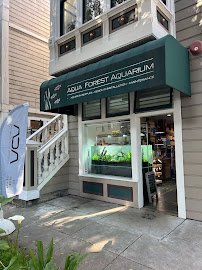 Aqua Forest Aquarium