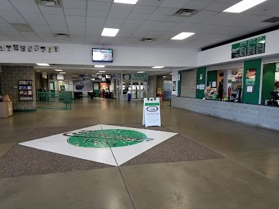 Braemar Arena photo 6