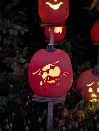 Cincinnati Zoo photo 4