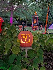 Cincinnati Zoo photo 5