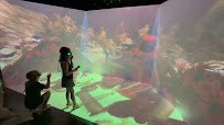Hologram Zoo Lehigh Valley photo 2