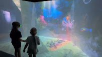Hologram Zoo Lehigh Valley photo 5