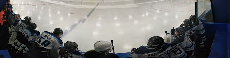 Whitestown Community Center & Ice Rink photo 6