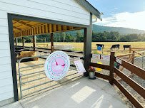 Plucky Palomino Petting Zoo photo 3