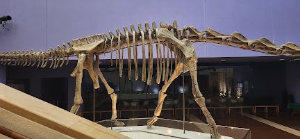 Noble Planetarium photo 6