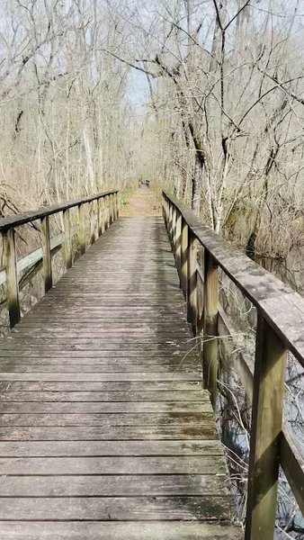 Savannah Ogeechee Canal Museum and Nature Center photo 2